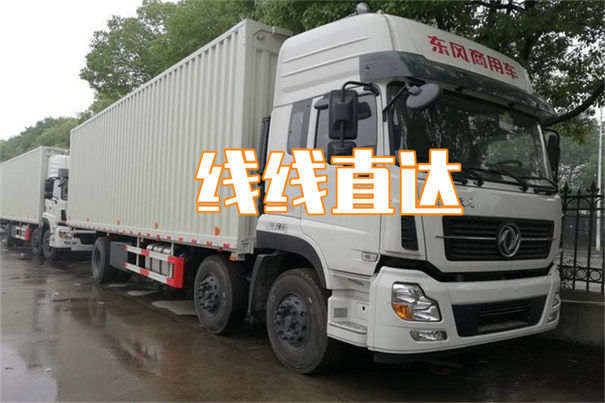 石嘴山到丽水货运公司-专线直达